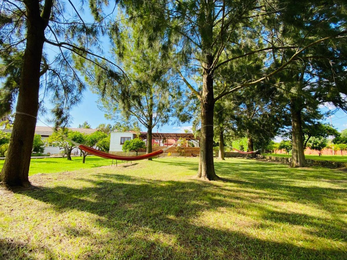 Appartement Quinta Das Origens