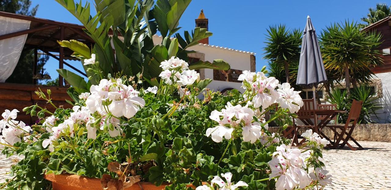 Quinta Das Origens *